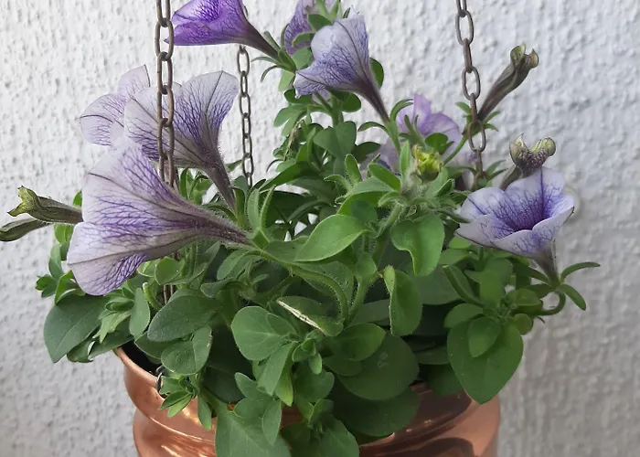 Apartmán Seaside Downtown With Private Parking *